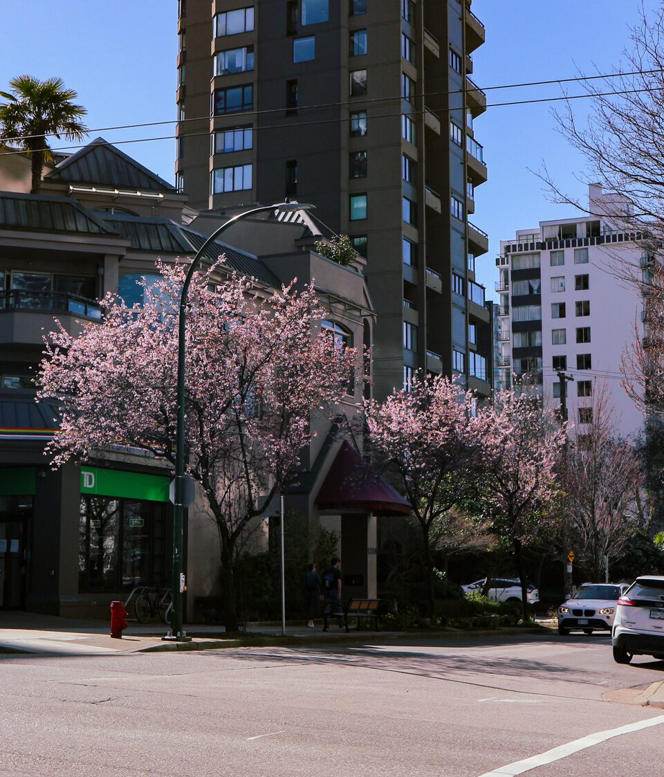 Living in West End, Vancouver vandira